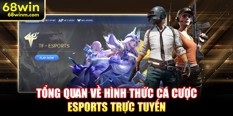 Tổng quan về hình thức cá cược Esports trực tuyến 