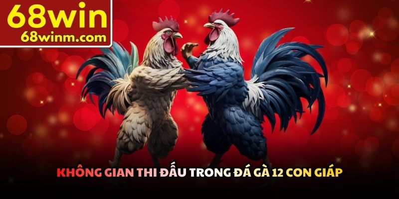 Không gian thi đấu trong đá gà 12 con giáp