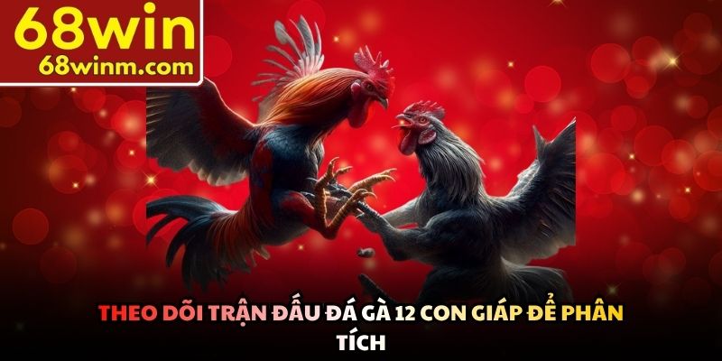 Theo dõi trận đấu đá gà 12 con giáp để phân tích