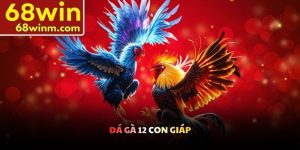 Đá gà 12 con giáp
