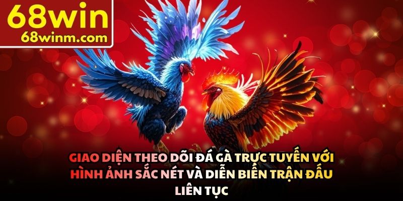 Giao diện theo dõi đá gà trực tuyến với hình ảnh sắc nét và diễn biến trận đấu liên tục