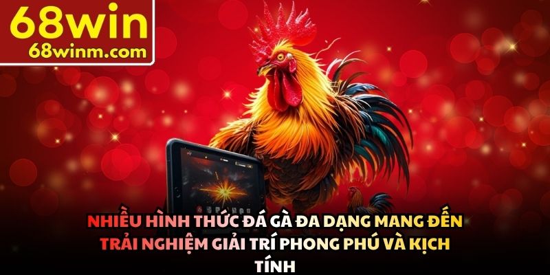 Nhiều hình thức đá gà đa dạng mang đến trải nghiệm giải trí phong phú và kịch tính