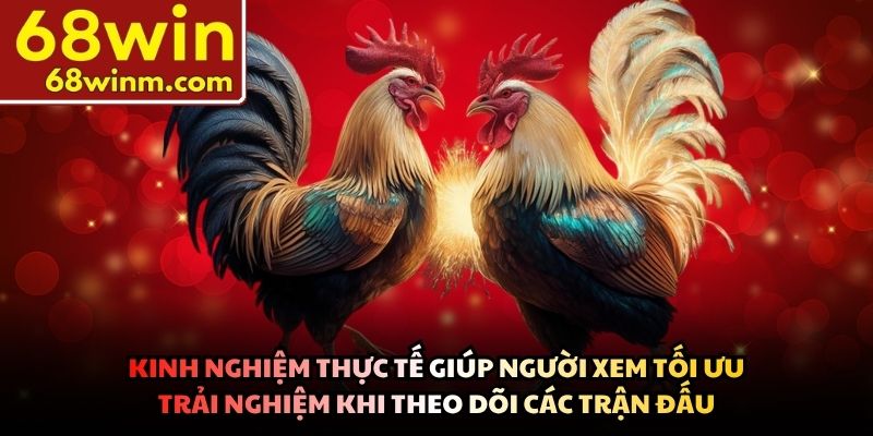 Kinh nghiệm thực tế giúp người xem tối ưu trải nghiệm khi theo dõi các trận đấu
