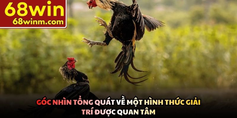 Góc nhìn tổng quát về một hình thức giải trí được quan tâm