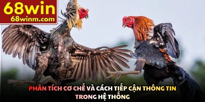 Phân tích cơ chế và cách tiếp cận thông tin trong hệ thống
