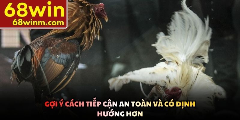 Gợi ý cách tiếp cận an toàn và có định hướng hơn