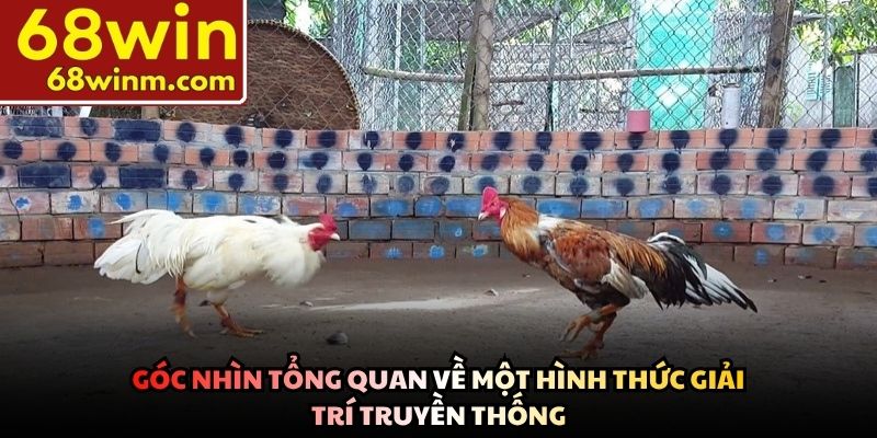 Góc nhìn tổng quan về một hình thức giải trí truyền thống