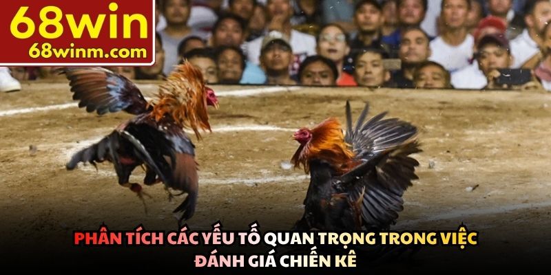 Phân tích các yếu tố quan trọng trong việc đánh giá chiến kê