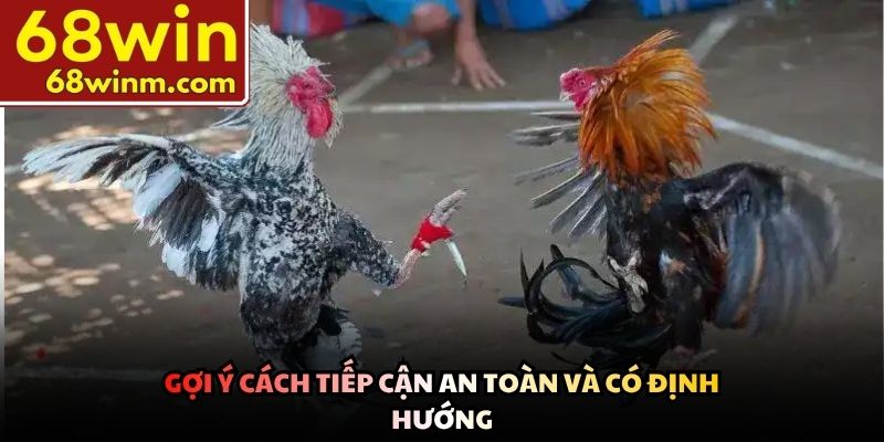 Gợi ý cách tiếp cận an toàn và có định hướng